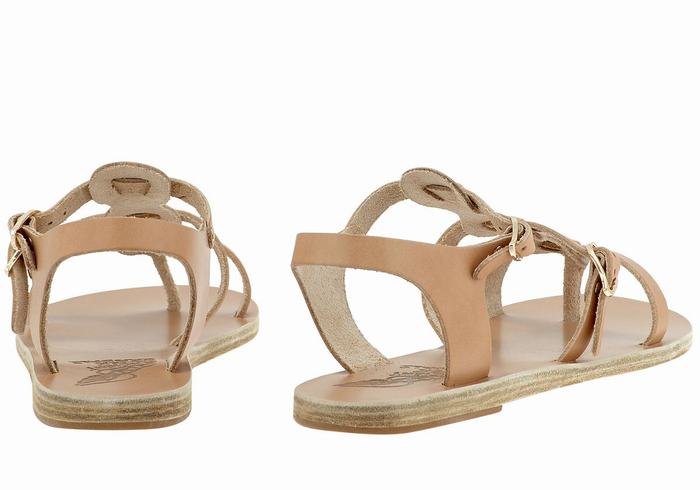 Sandales Casual Ancient Greek Sandals Grace Kelly Leather   | QDF-9975527